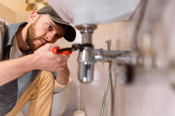 Best Garbage Disposal Repair and Installation  in Mountain Lake, MN